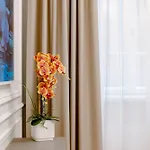 Appartement Elegant With Sauna, Town Hall Square, Old Town *