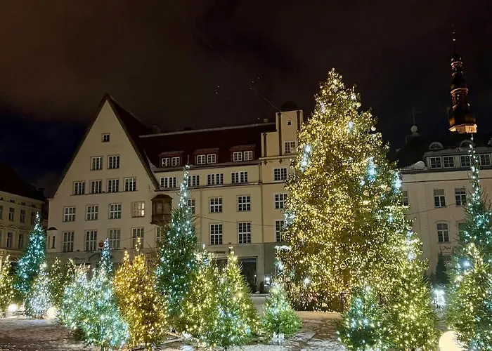 Elegant With Sauna, Town Hall Square, Old Town Appartamento Reval
